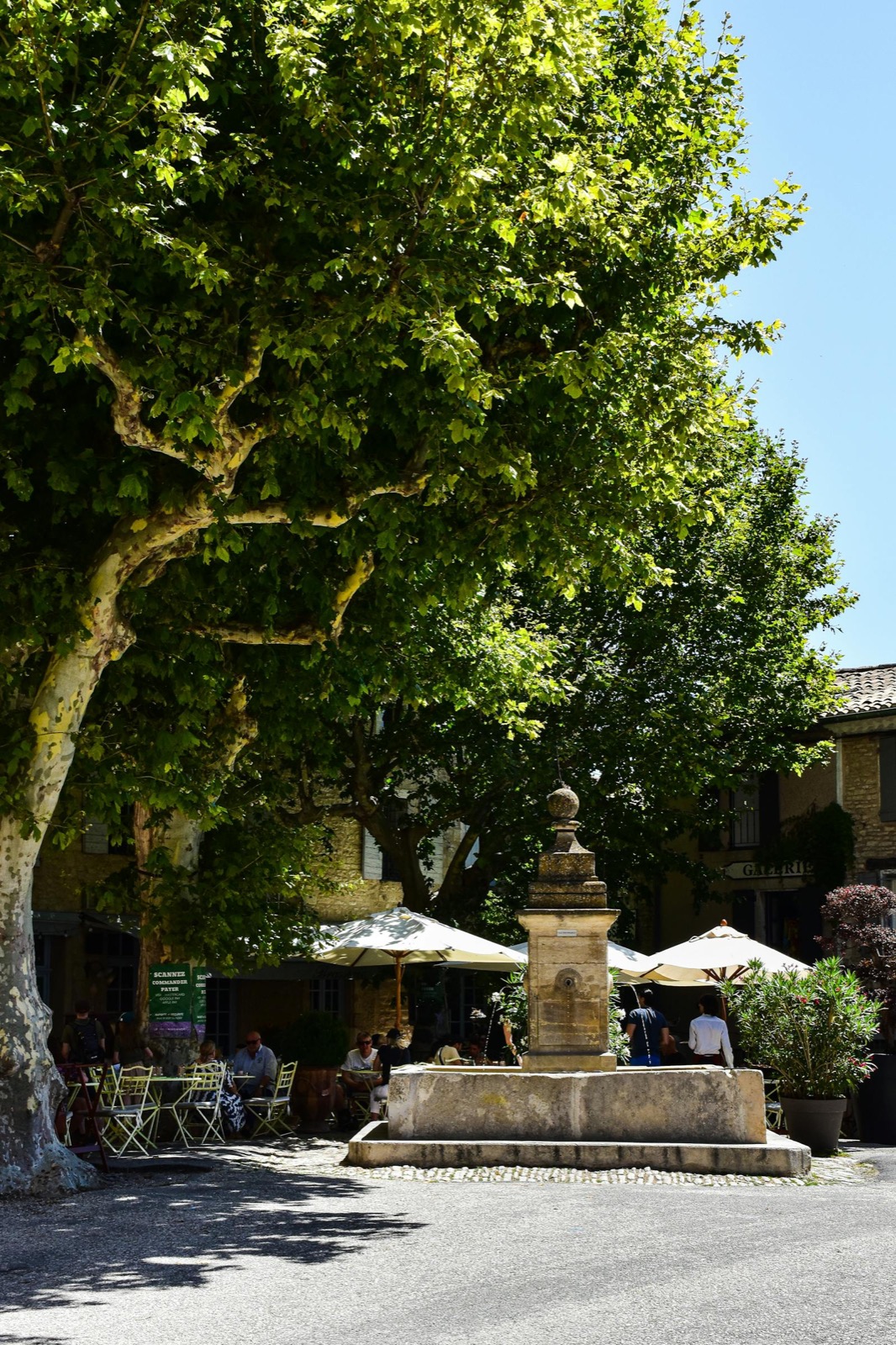 Ombres de platanes sur une placette provençale